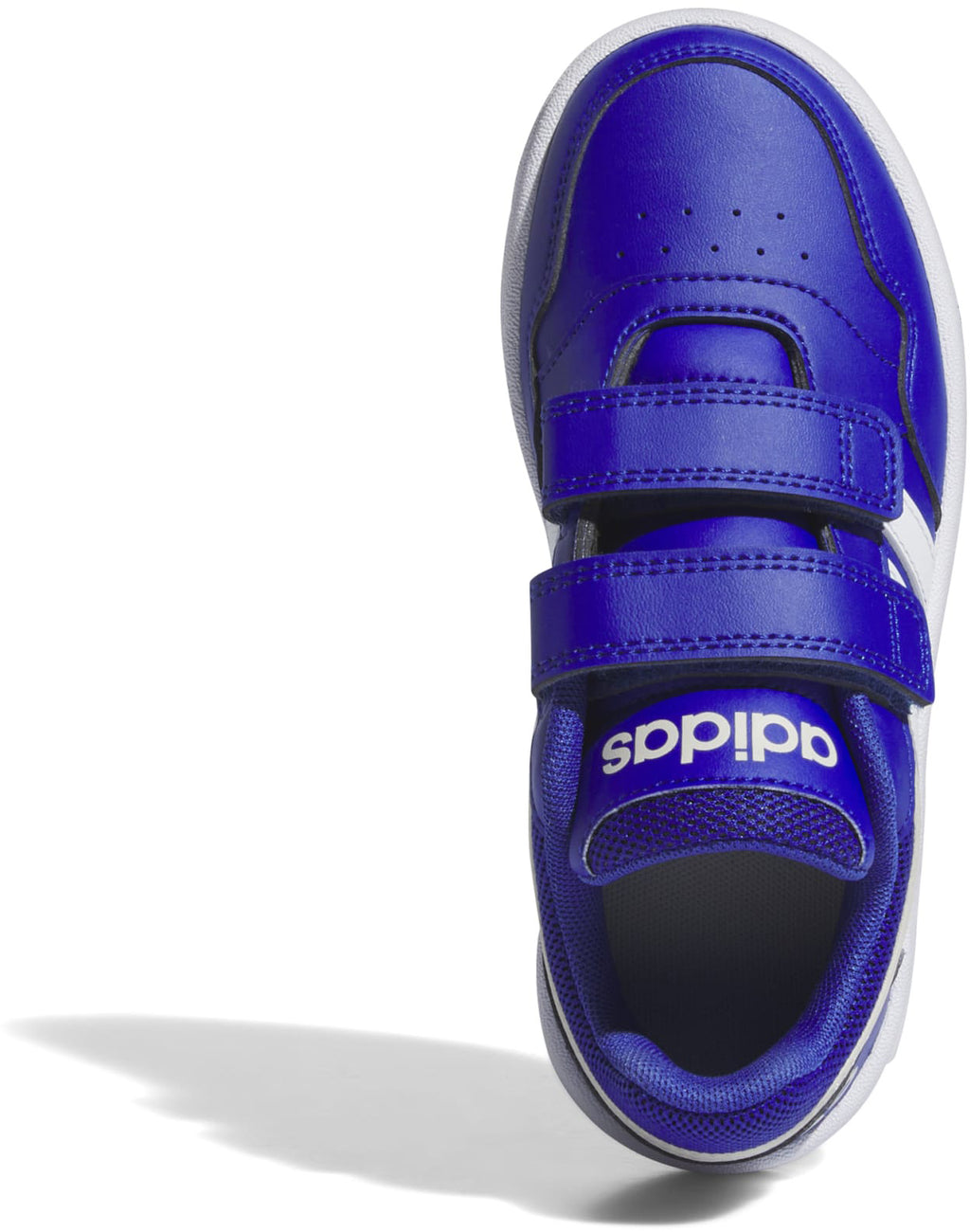 Hoops sneakers