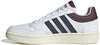 Hoops 3.0 Low Classic Vintage sneakers