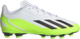 X Crazyfast.4 FG voetbalschoenen