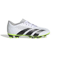 Predator Accuracy.4 FG voetbalschoenen