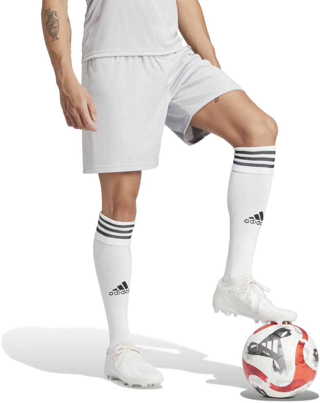 Fortore 23 short