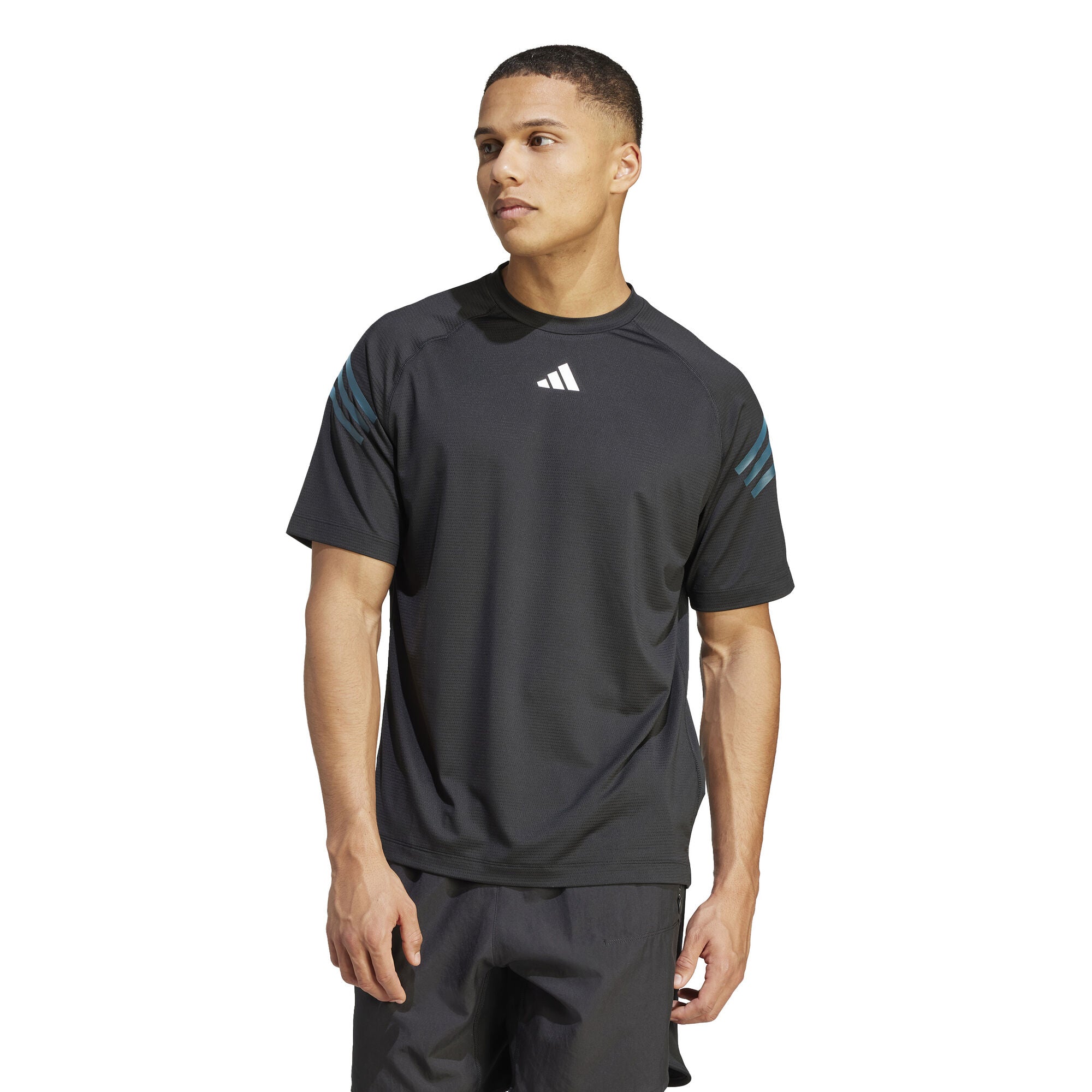 Train Icons 3-Stripes trainingsshirt