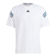 Train Icons 3-Stripes trainingsshirt
