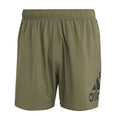 Big Logo CLX Korte zwemshort