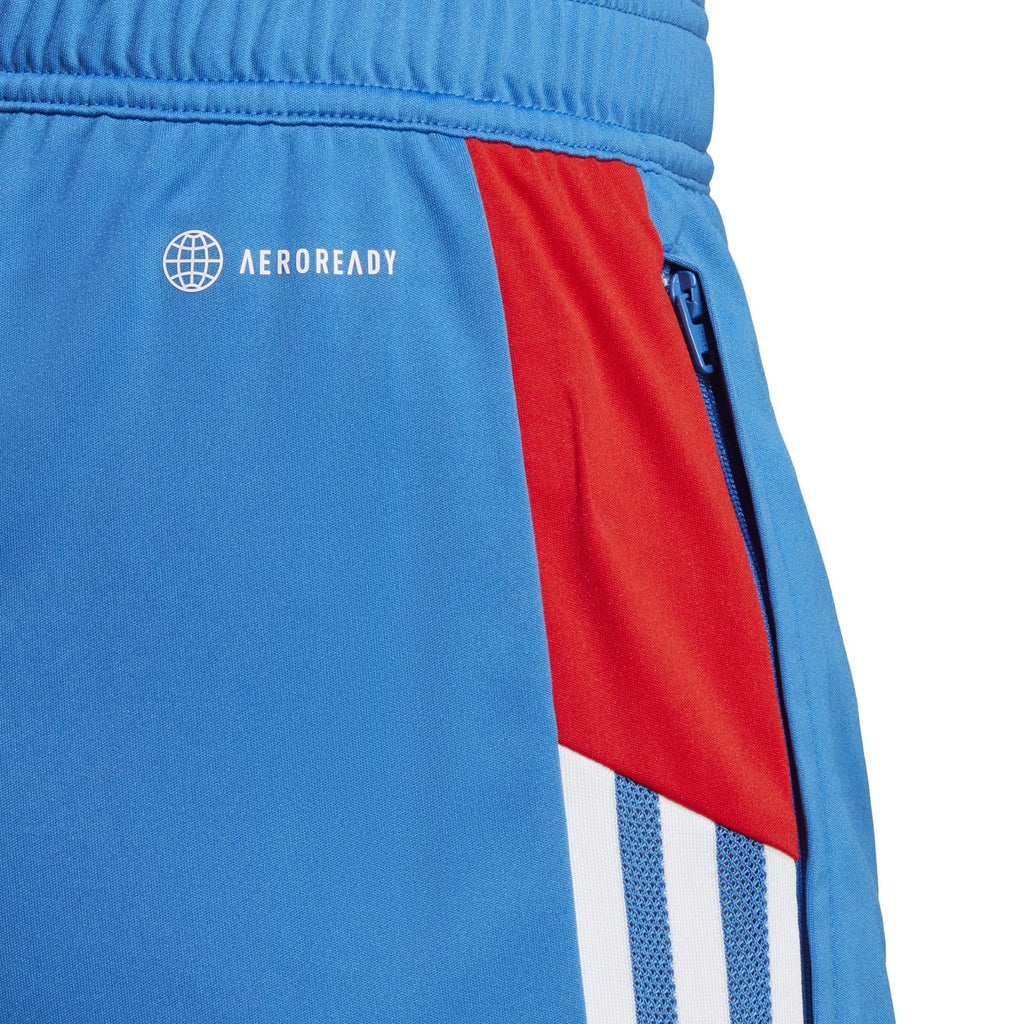 FC Bayern Condivo 22 Training Shorts