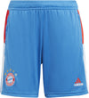 FC Bayern Condivo 22 Training Shorts