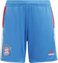 FC Bayern Condivo 22 Training Shorts