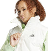 BSC vest
