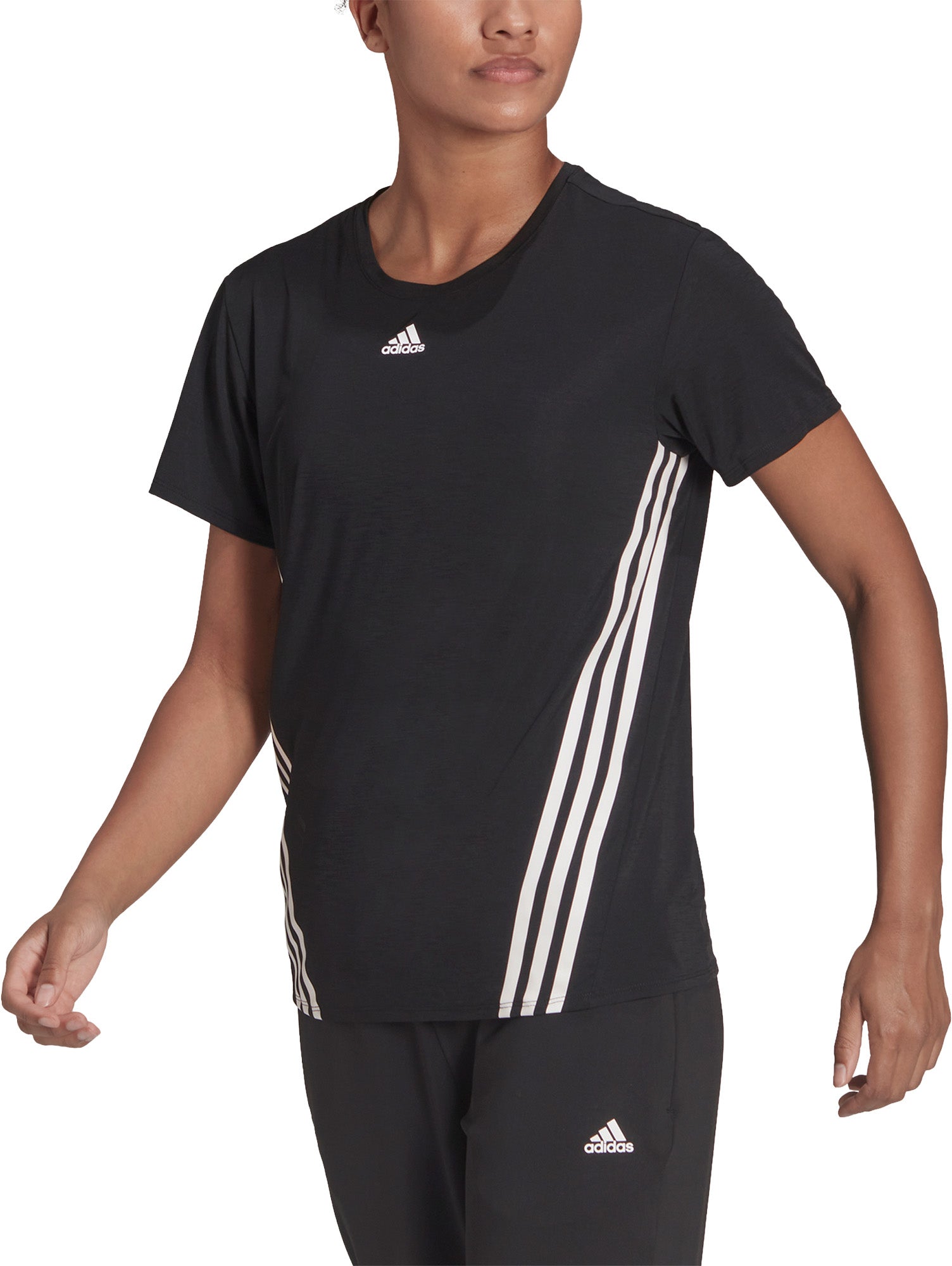 WTR Icons 3-S shirt