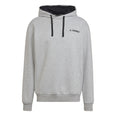 Terrex Logo Graphic hoodie