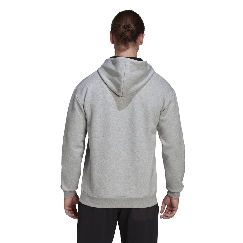 Terrex Logo Graphic hoodie
