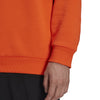 Terrex Logo Graphic hoodie