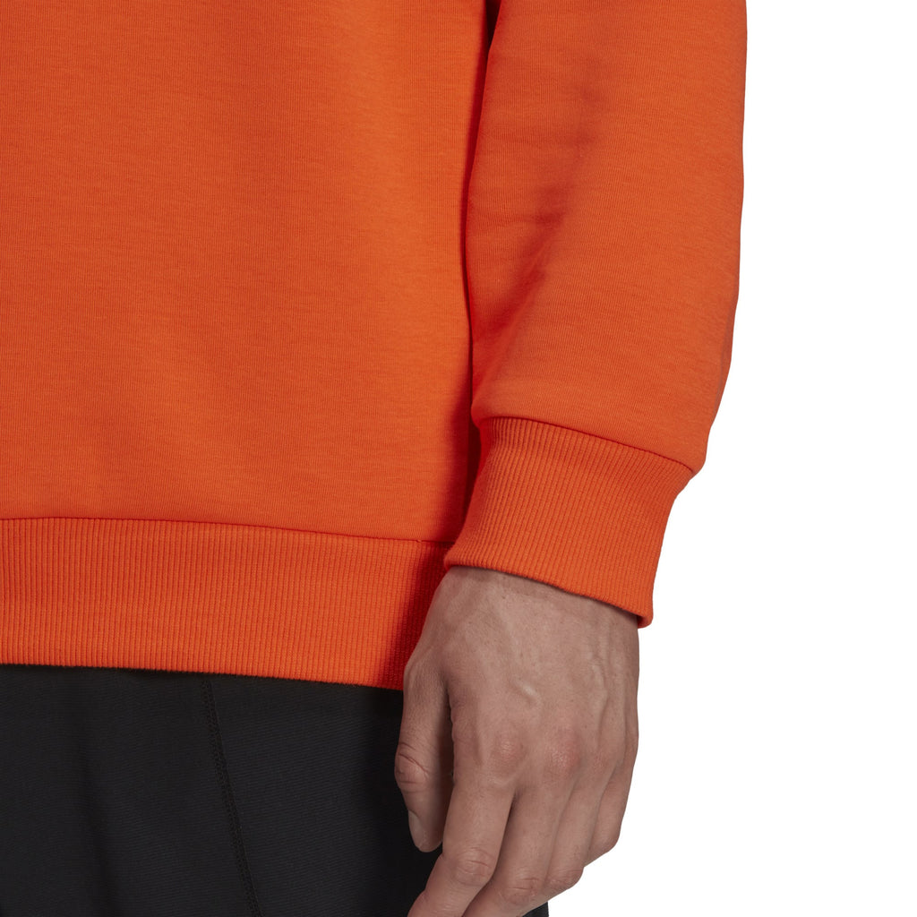 Terrex Logo Graphic hoodie