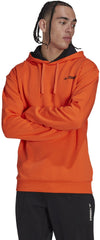 Terrex Logo Graphic hoodie
