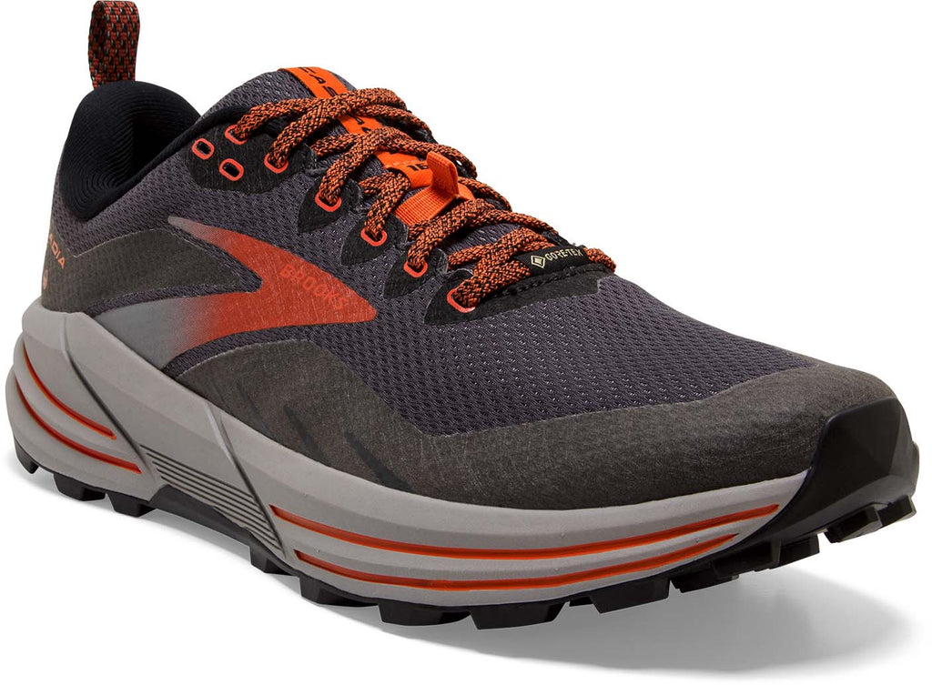 Cascadia 16 GTX trailschoenen
