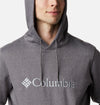 Basic Logo II hoodie