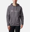 Basic Logo II hoodie