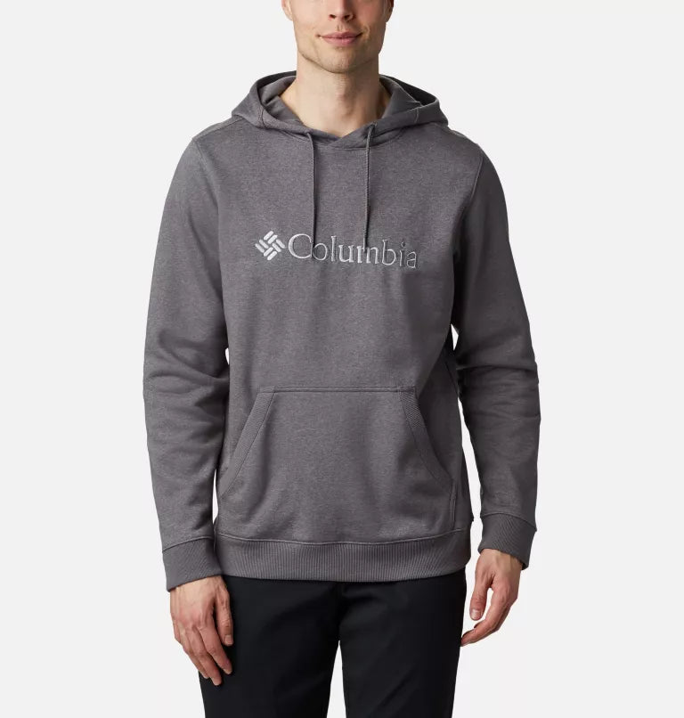 Basic Logo II hoodie