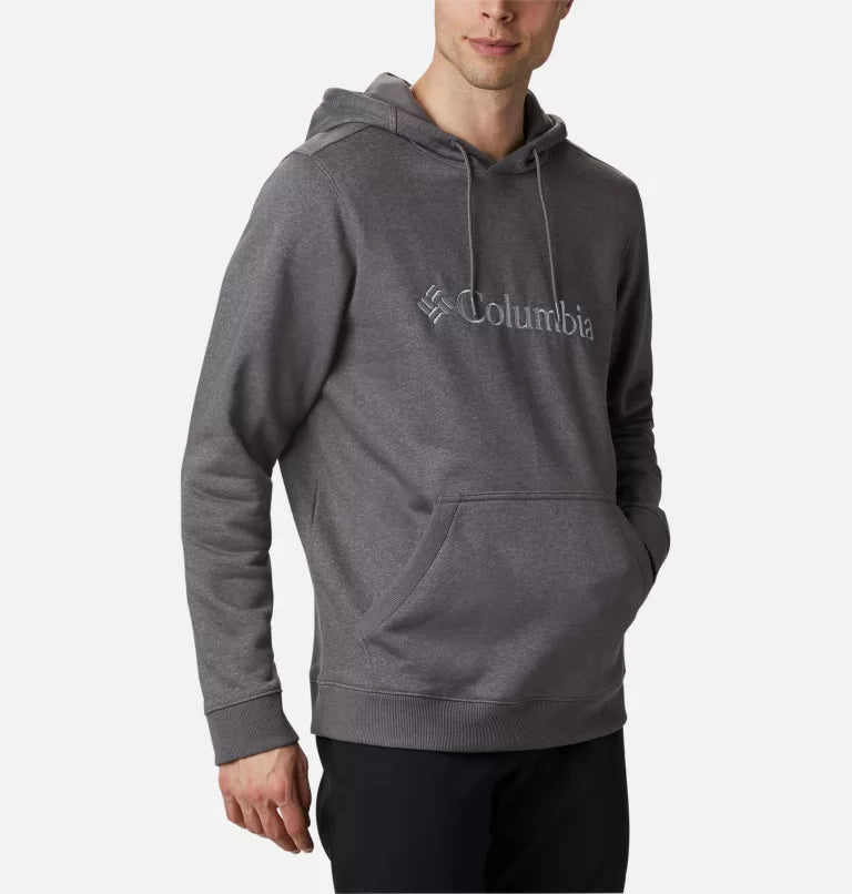 Basic Logo II hoodie