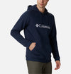 Basic Logo II hoodie