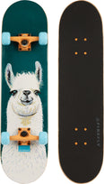 SKB 505 skateboard