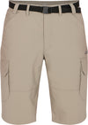 Allentown III short