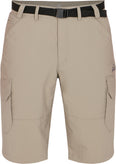 Allentown III short