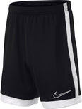 Dri-FIT Academy kids short