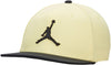Jordan Pro Jumpman pet
