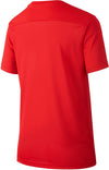 Dri-FIT Park 7 kids shirt