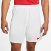 Dri-FIT Park 3 Knit Soccer short