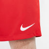 Dri-FIT Park 3 Knit Soccer short