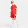 Dri-FIT Park 3 Knit Soccer short