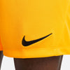 Dri-FIT Park 3 Knit Soccer short