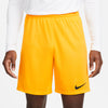 Dri-FIT Park 3 Knit Soccer short