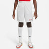 Dri-FIT Park III kids short