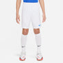 Dri-FIT Park III kids short
