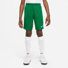 Dri-FIT Park III kids short