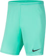Dri-FIT Park III kids short