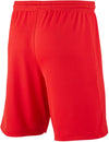 Dri-FIT Park III kids short