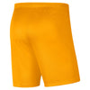 Dri-FIT Park III kids short