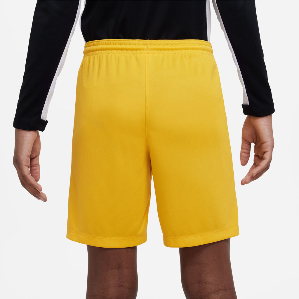 Dri-FIT Park III kids short