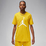 Jumpman t-shirt
