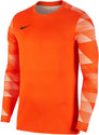 Dri-FIT Park 4 Goalkeeper Jby longsleeve shirt