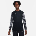 Dri-FIT Park IV Goalkeeper kids longsleeve voetbalshirt