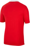 Dri-FIT Park Polo shirt
