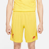 Liverpool FC Dri-FIT Stadium derde short 21/22