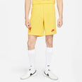 Liverpool FC Dri-FIT Stadium derde short 21/22