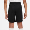 Dri-FIT Park Knit kids short