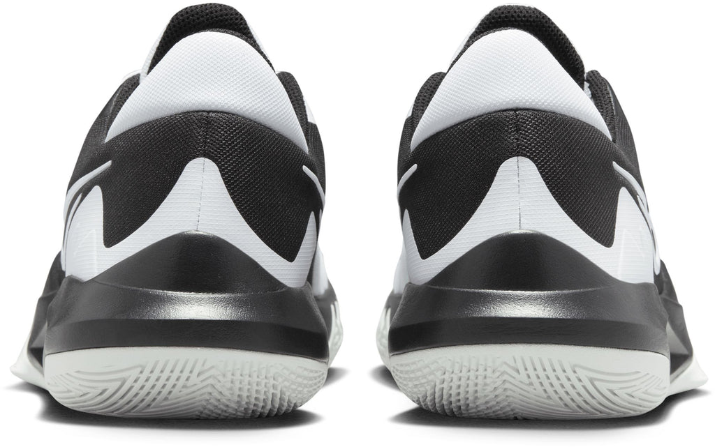 Precision 6 basketbalschoenen